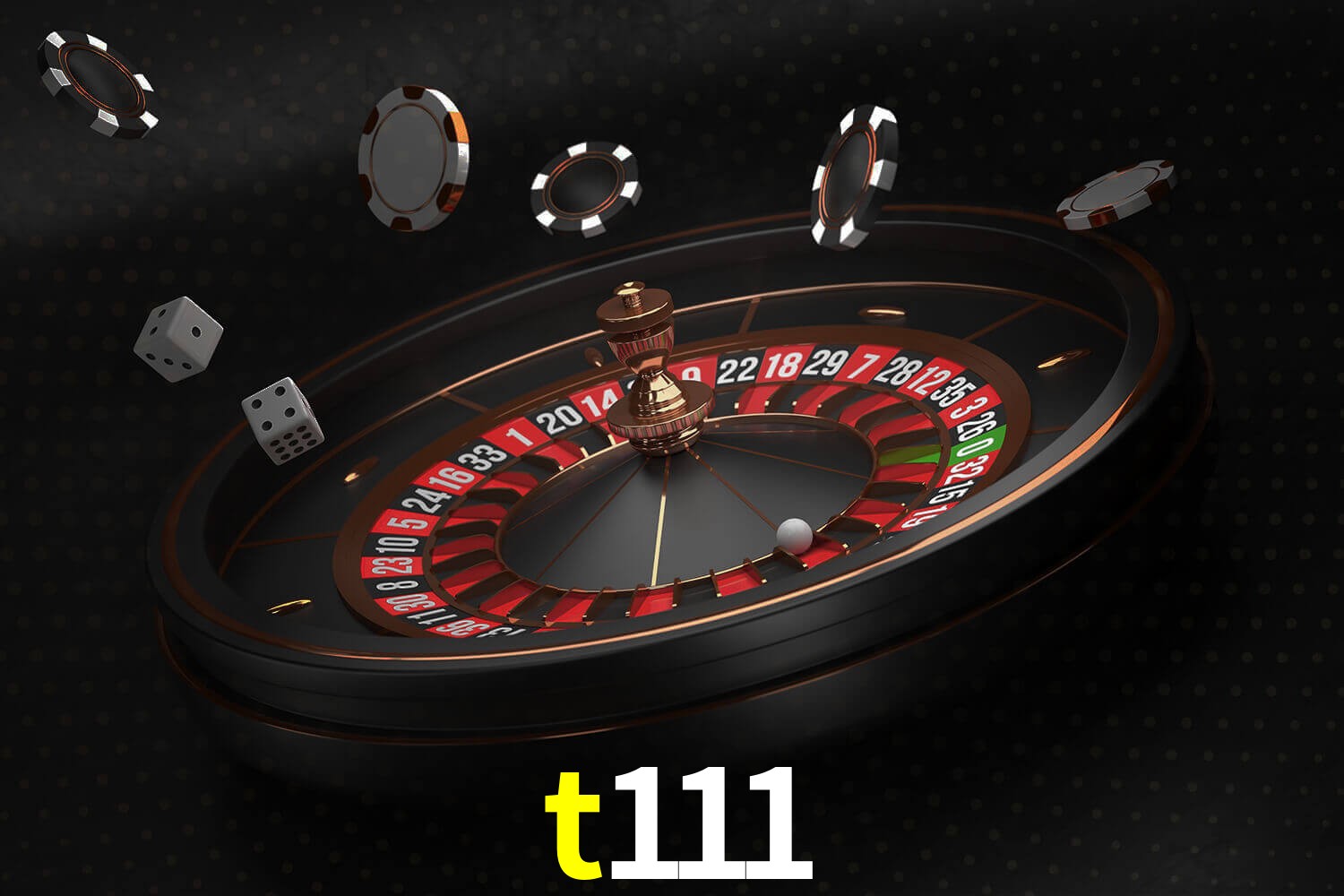 t111.com
